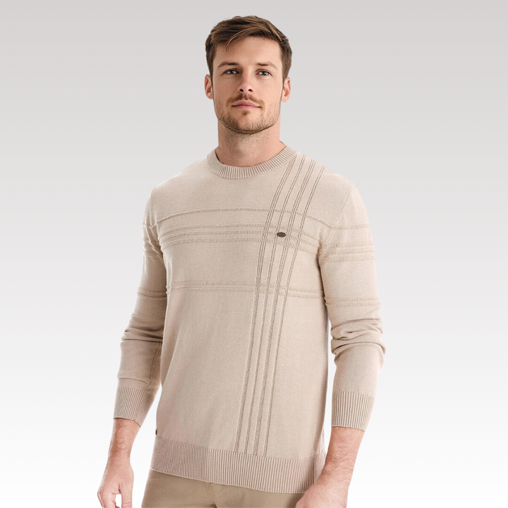 David  | Stylish Textured Crew Neck Sweater For Men